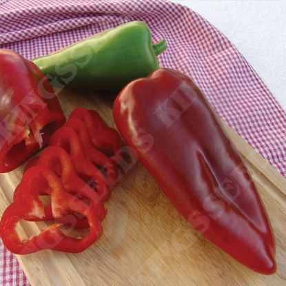 Picture of Capsicum Pepper chinense Habanero Red